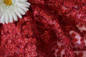 Швейная ткань
 Сетка Валентино цвет красный